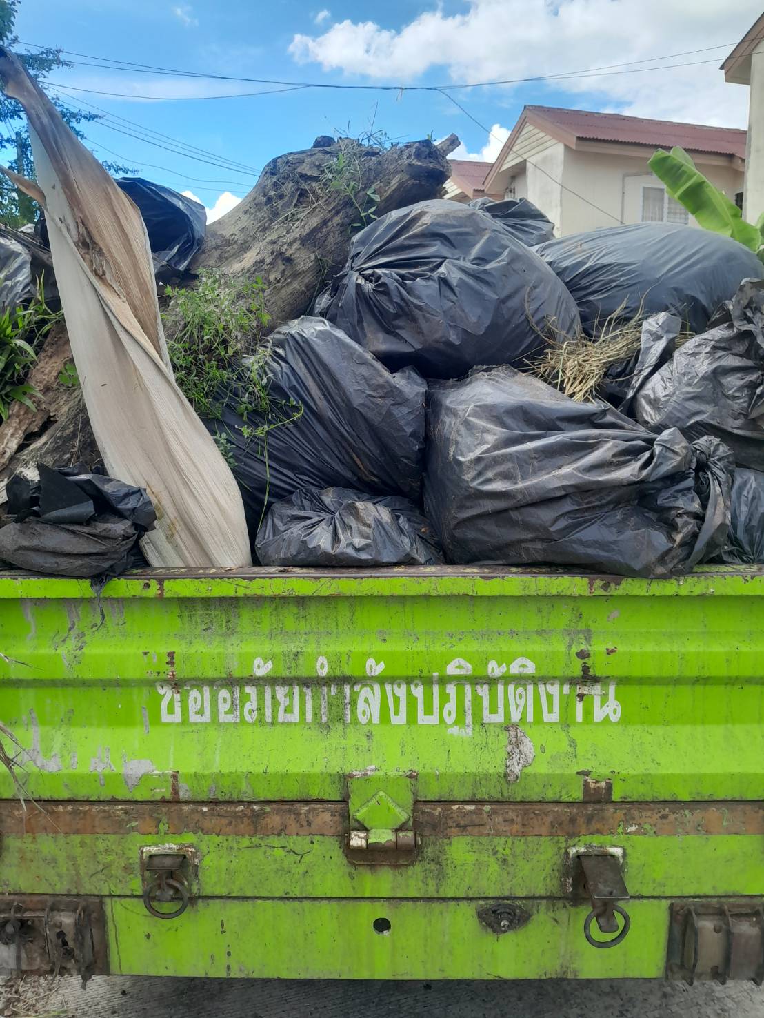 ภาพประกอบ: กิ่งไม้/ขยะชิ้นใหญ่ (ตู้ เตียง ที่นอน เป็นต้น)