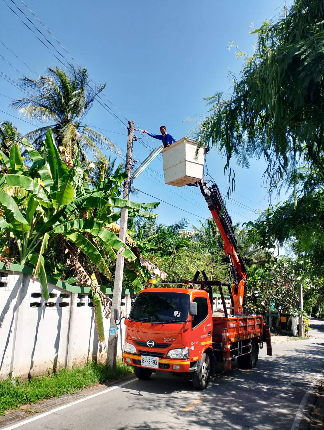 ภาพประกอบ: ไฟฟ้าสาธารณะดับ