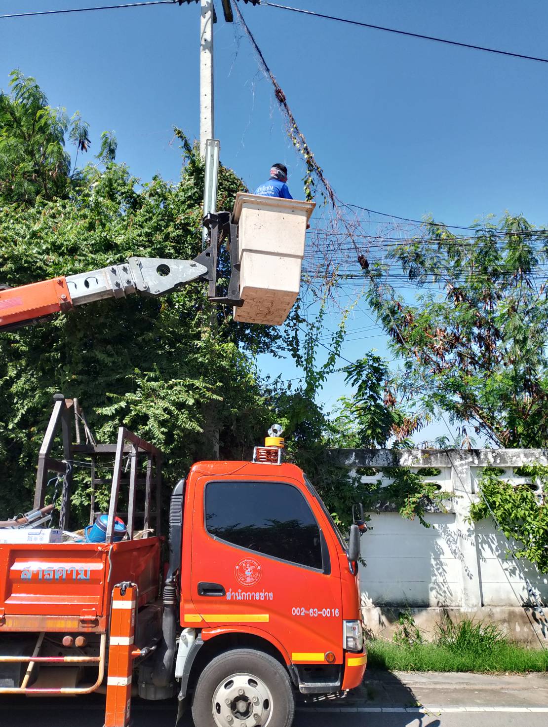 ภาพประกอบ: ไฟฟ้าสาธารณะดับ