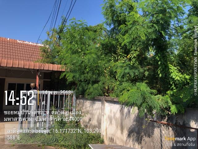 ภาพประกอบ: ที่ดินส่วนบุคคลมีต้นไม้รกรุงรัง