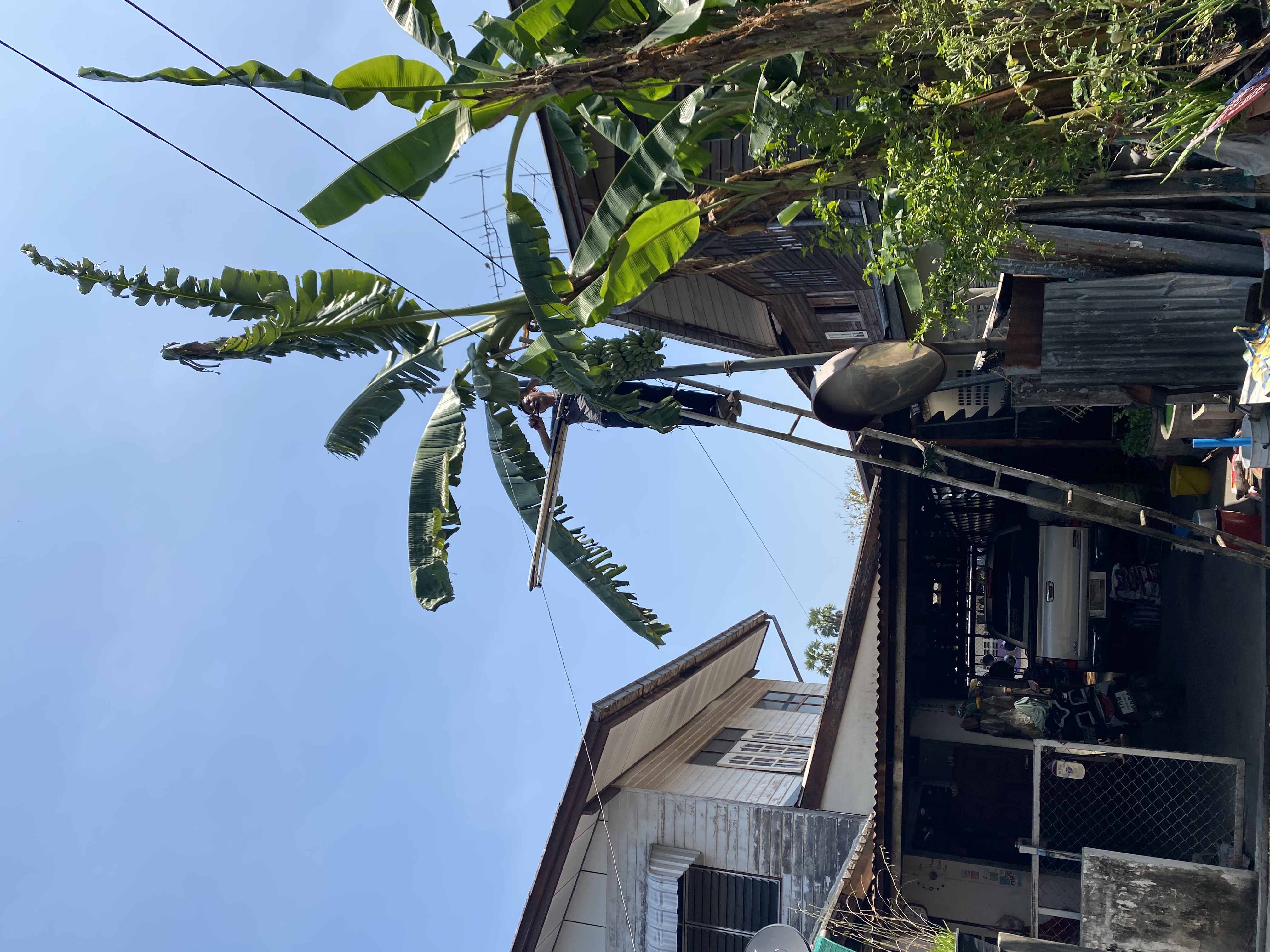 ภาพประกอบ: ไฟฟ้าสาธารณะดับ