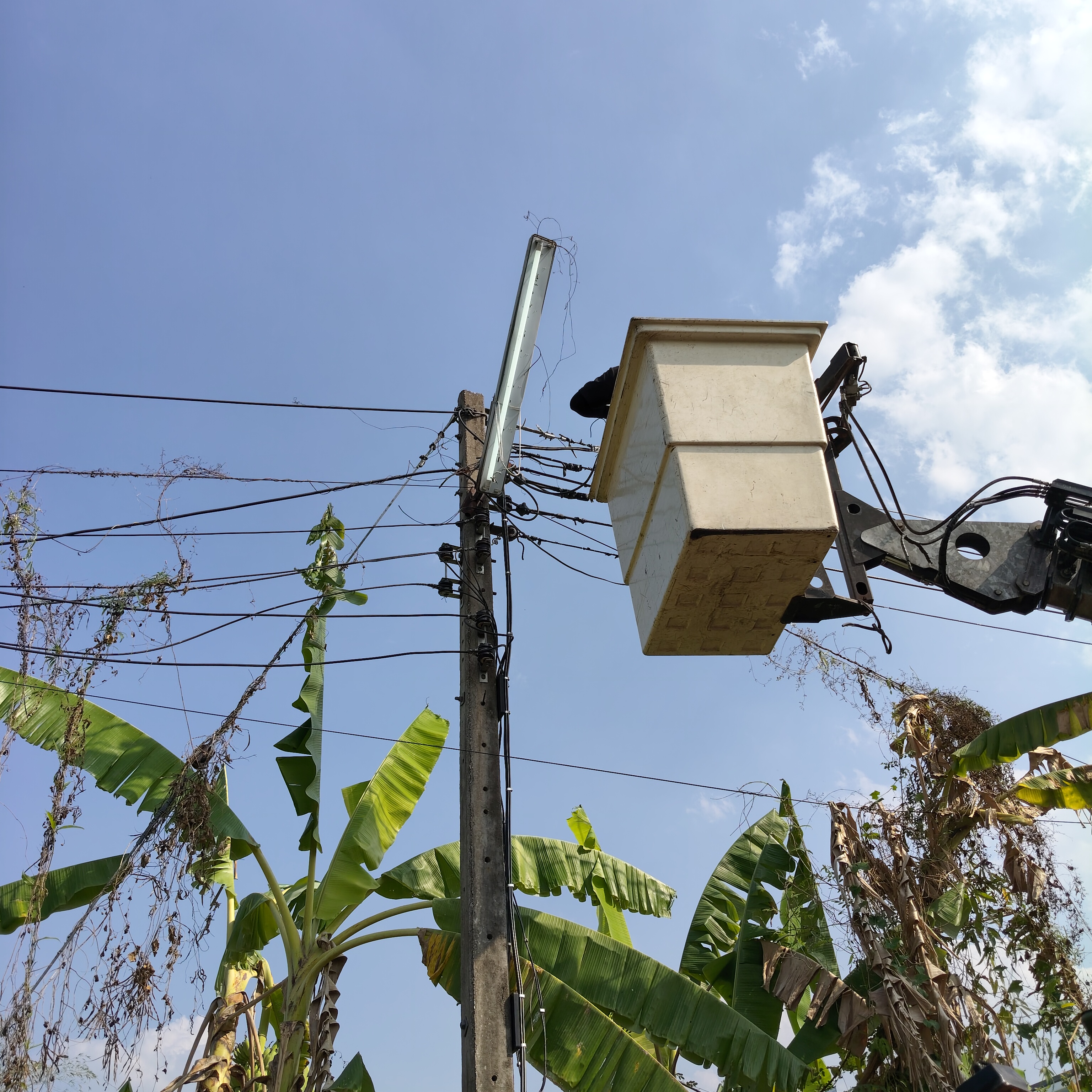 ภาพประกอบ: ไฟฟ้าสาธารณะดับ