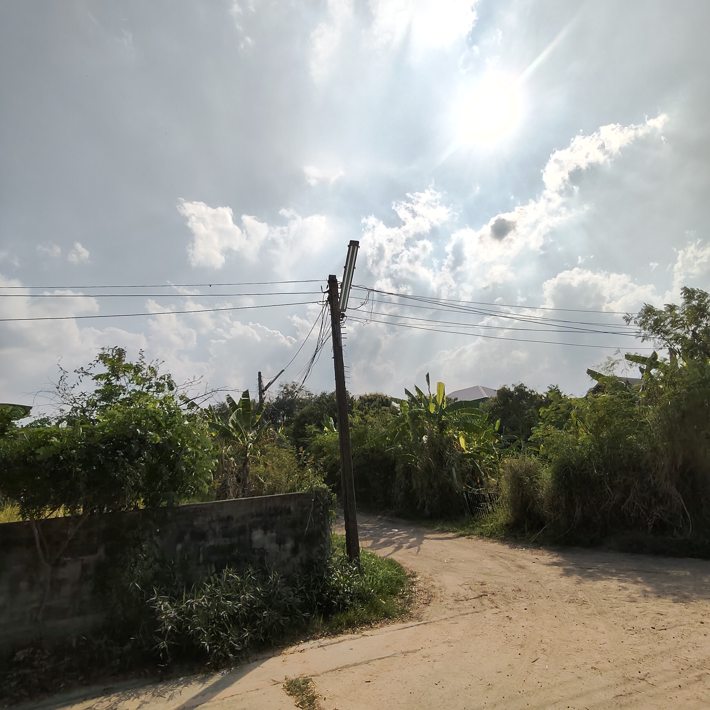 ภาพประกอบ: ไฟฟ้าสาธารณะดับ