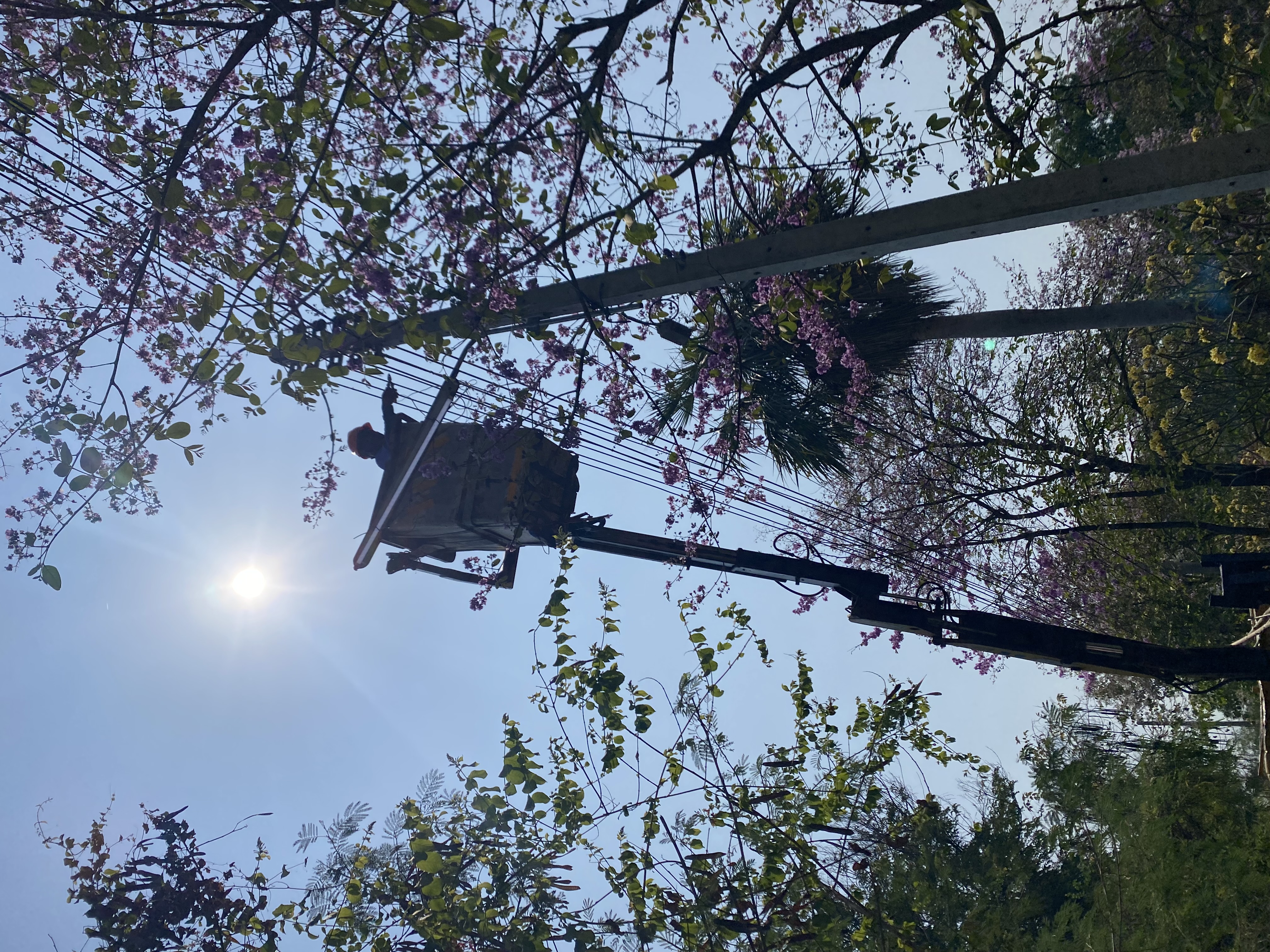 ภาพประกอบ: ไฟฟ้าสาธารณะดับ