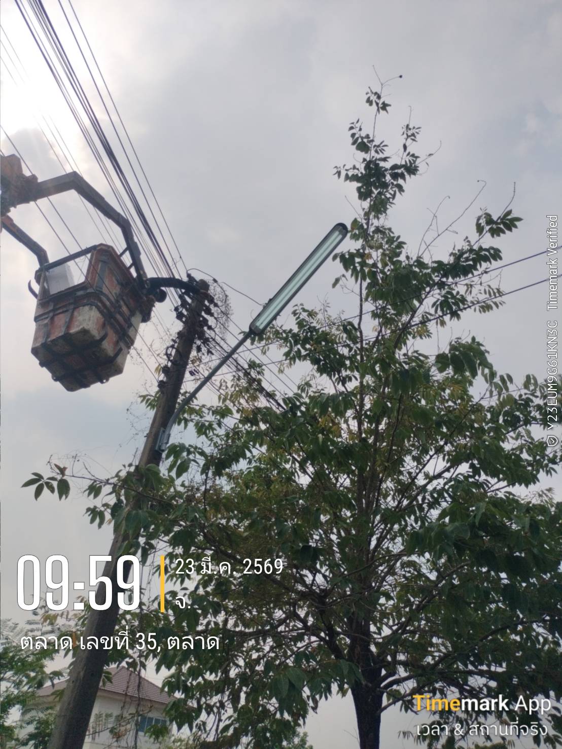 ภาพประกอบ: ขอเพิ่มโคมไฟฟ้าสาธารณะ (ขอรับบริการ)