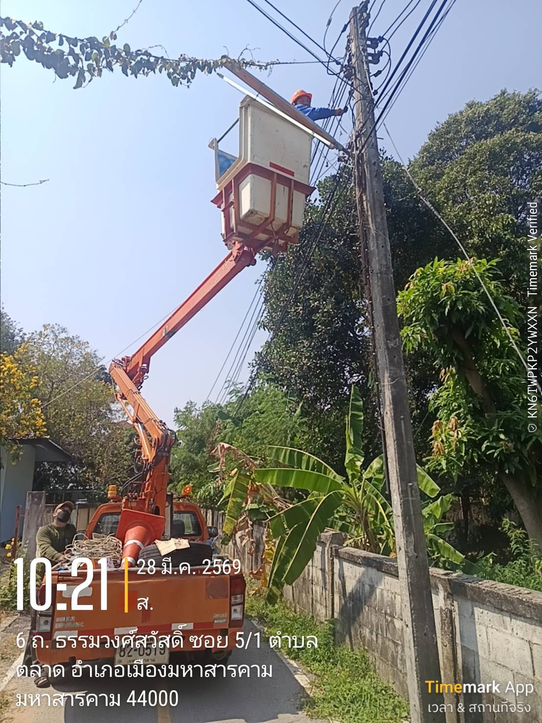 ภาพประกอบ: ไฟฟ้าสาธารณะดับ