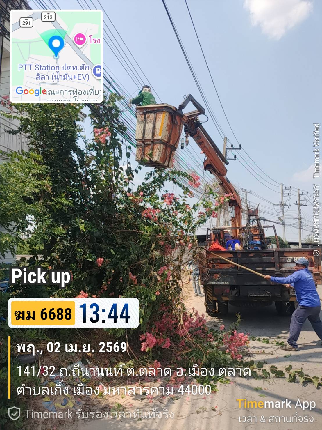 ภาพประกอบ: ตัดกิ่งไม้ระสายไฟฟ้าสาธารณะ