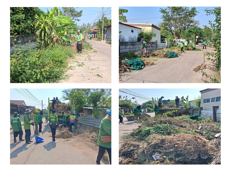 ภาพประกอบ: กิ่งไม้/ขยะชิ้นใหญ่ (ตู้ เตียง ที่นอน เป็นต้น)