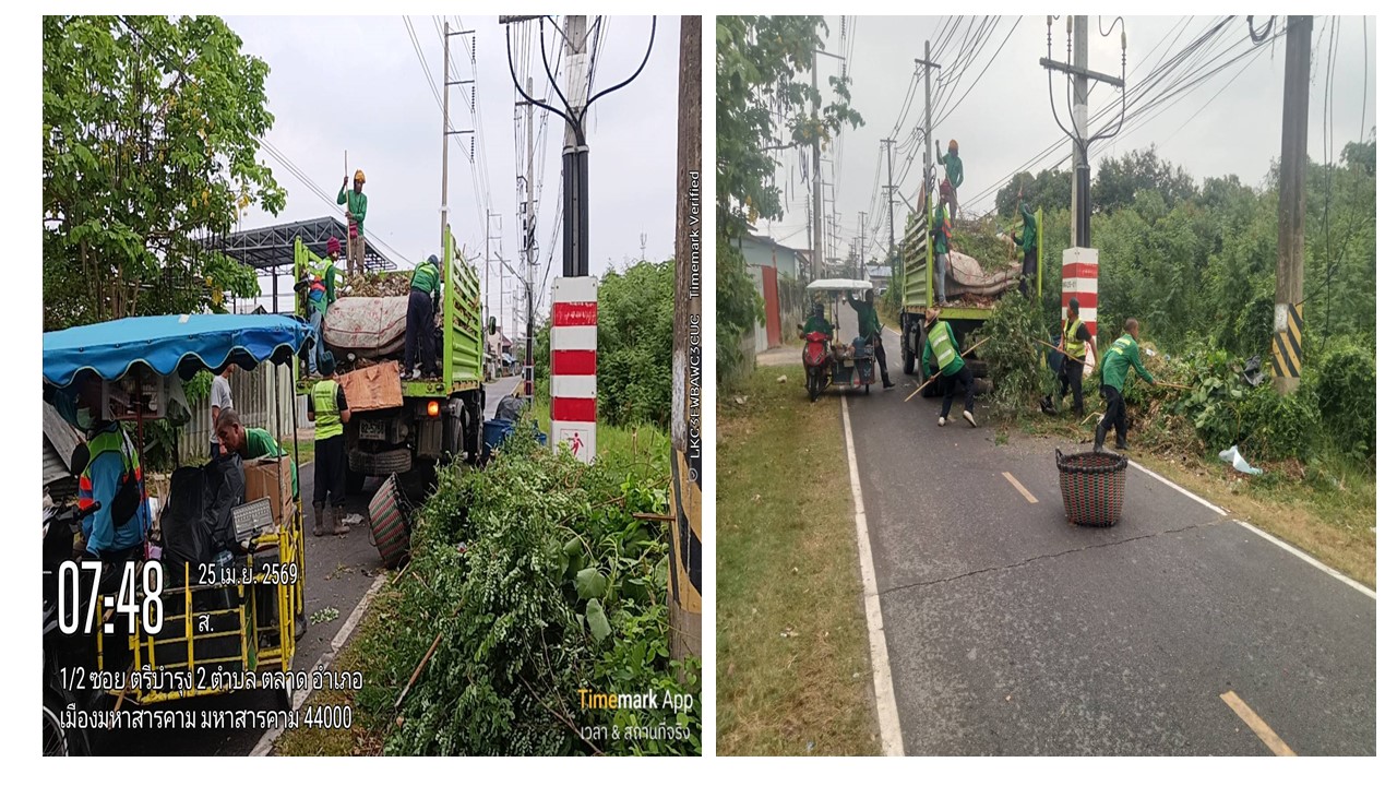 ภาพประกอบ: กิ่งไม้/ขยะชิ้นใหญ่ (ตู้ เตียง ที่นอน เป็นต้น)