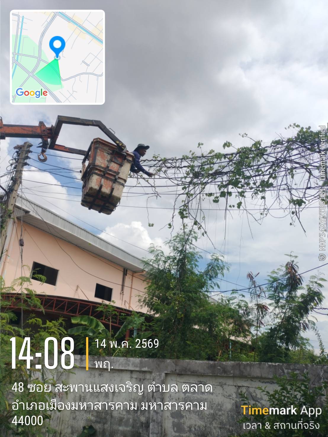 ภาพประกอบ: ตัดกิ่งไม้ระสายไฟฟ้าสาธารณะ