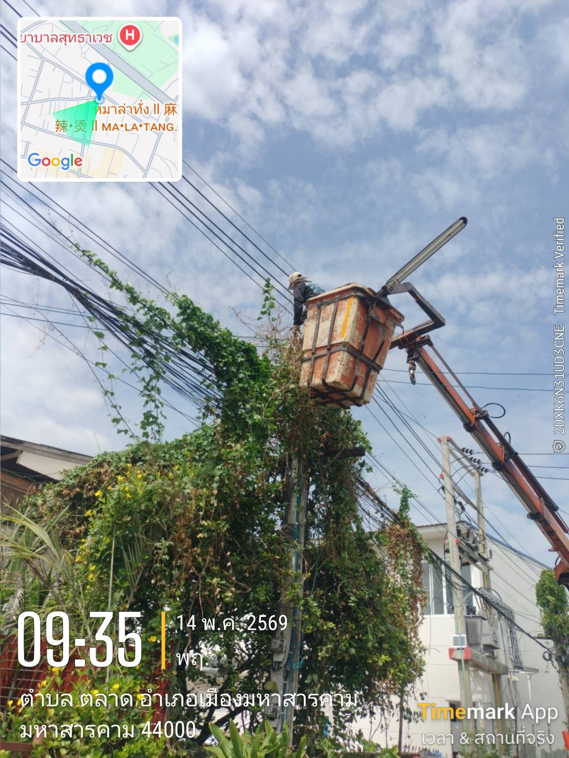 ภาพประกอบ: ตัดกิ่งไม้ระสายไฟฟ้าสาธารณะ