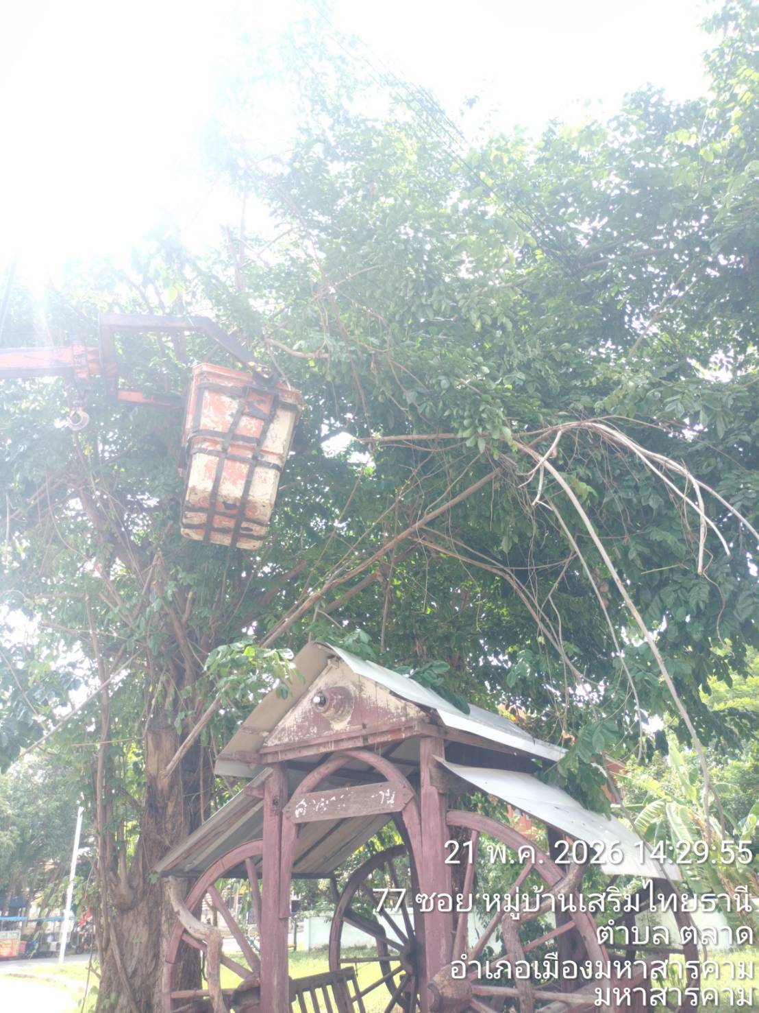 ภาพประกอบ: ตัดกิ่งไม้ระสายไฟฟ้าสาธารณะ