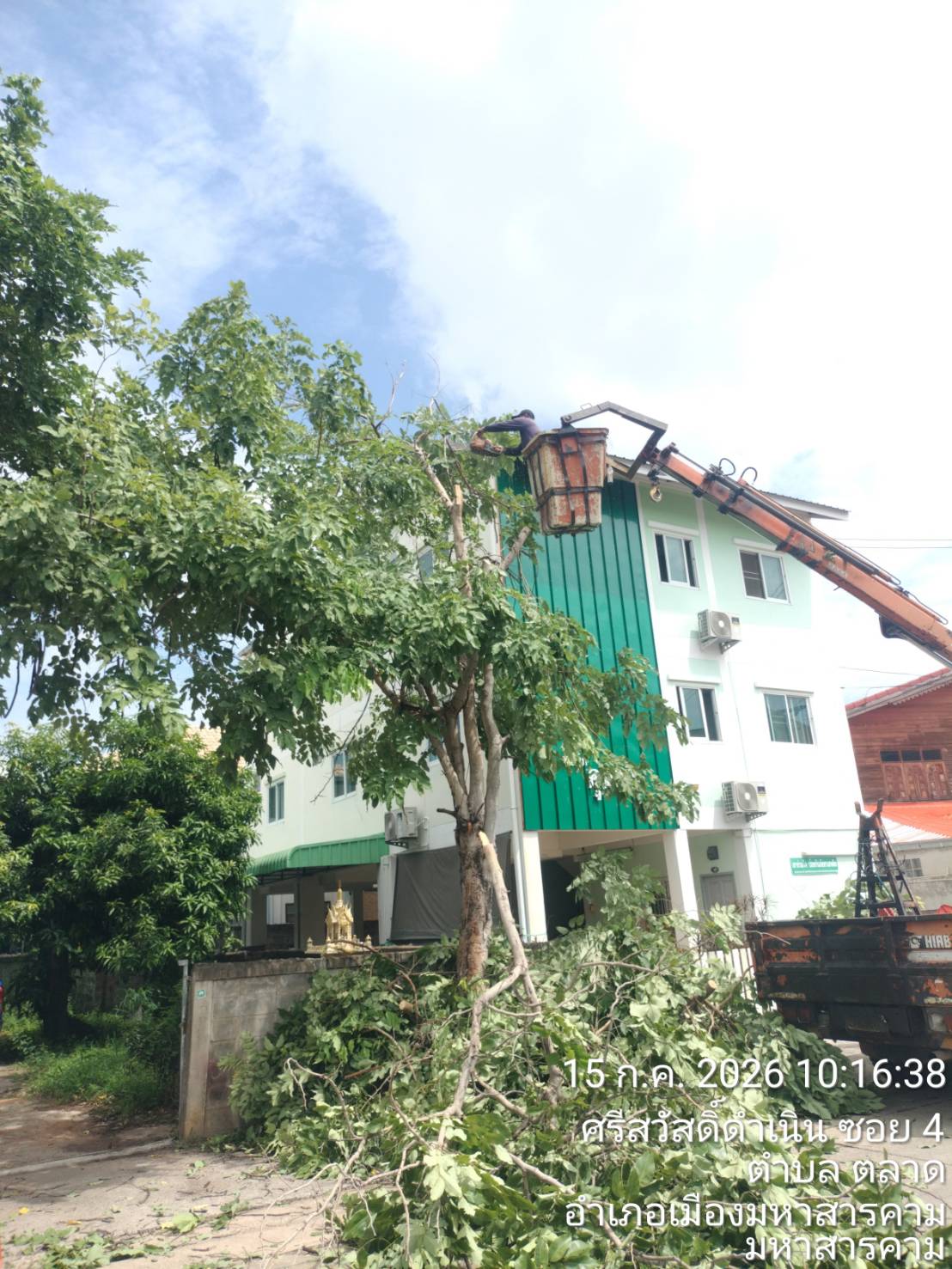 ภาพประกอบ: ตัดกิ่งไม้ระสายไฟฟ้าสาธารณะ