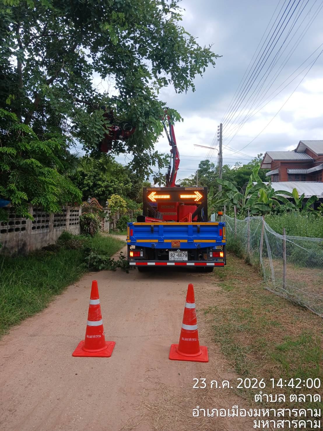ภาพประกอบ: ตัดกิ่งไม้ระสายไฟฟ้าสาธารณะ