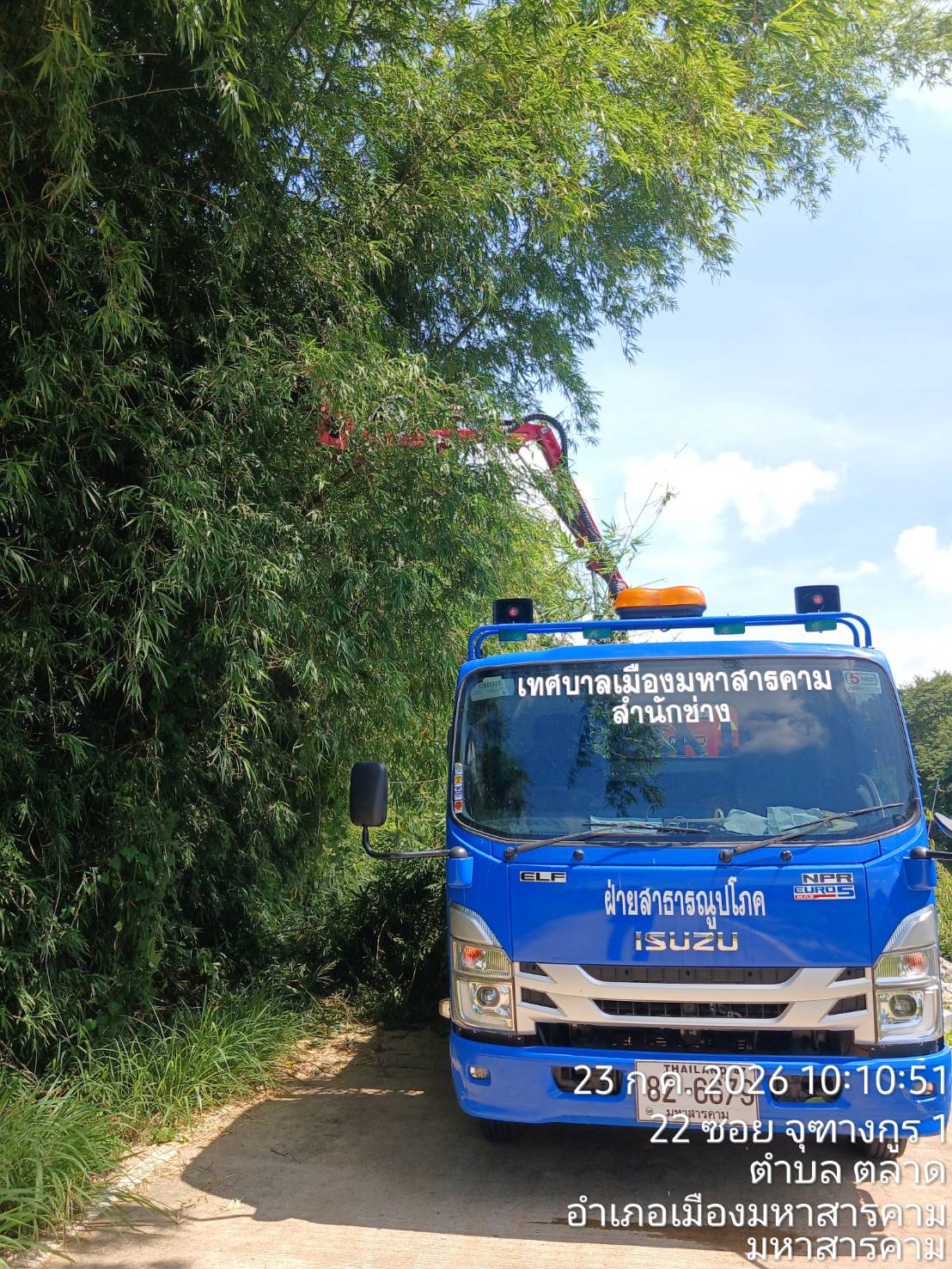 ภาพประกอบ: ตัดกิ่งไม้ระสายไฟฟ้าสาธารณะ