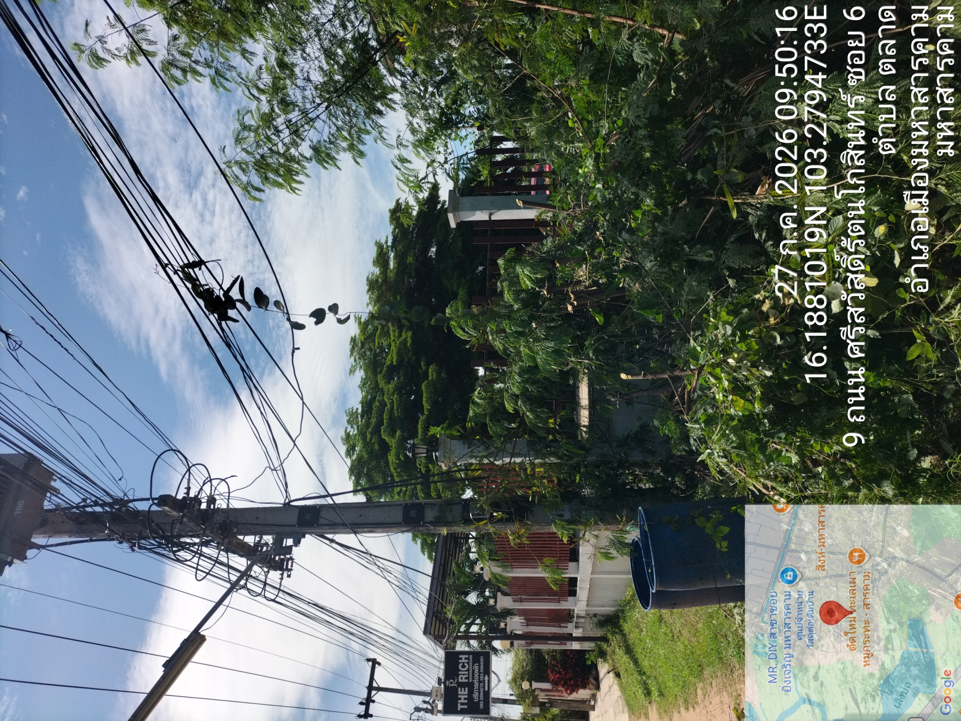 ภาพประกอบ: ตัดกิ่งไม้ระสายไฟฟ้าสาธารณะ