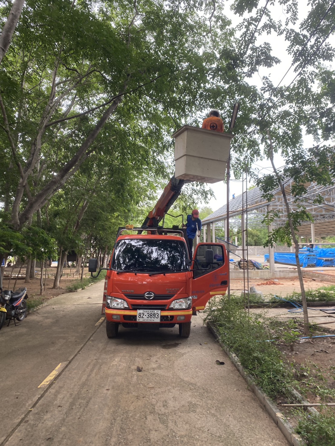 ภาพประกอบ: ไฟฟ้าสาธารณะดับ