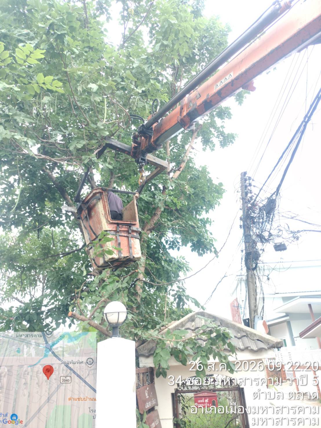 ภาพประกอบ: ตัดกิ่งไม้ระสายไฟฟ้าสาธารณะ