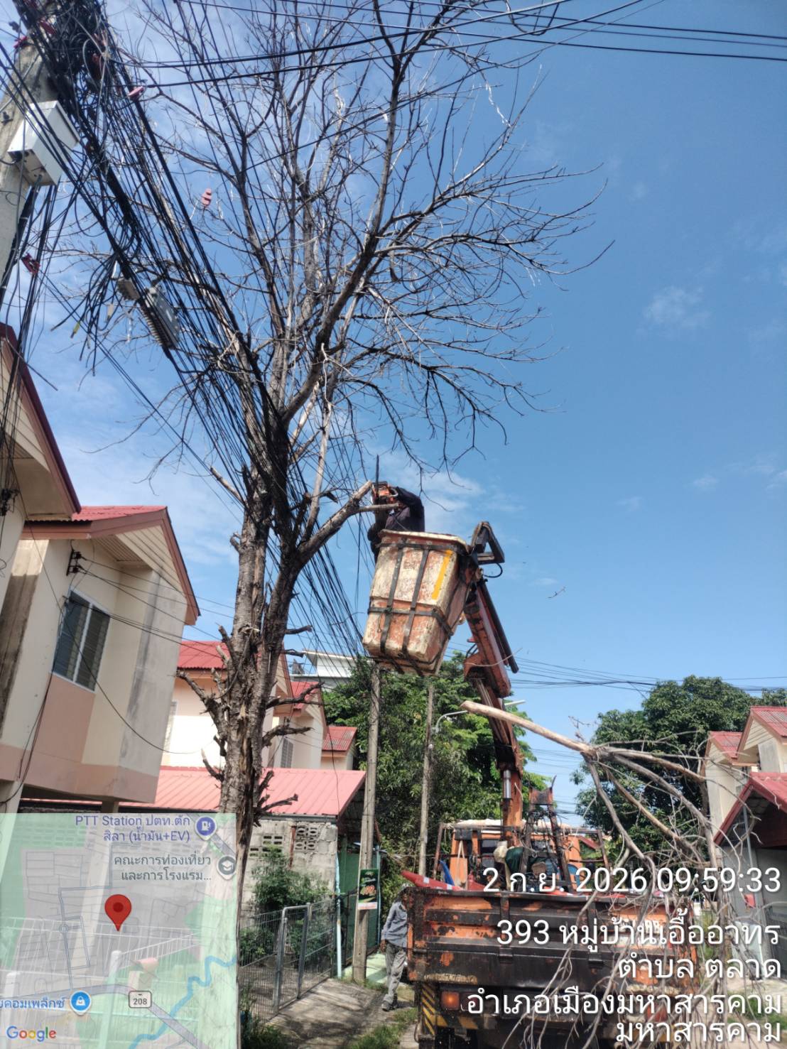 ภาพประกอบ: ตัดกิ่งไม้ระสายไฟฟ้าสาธารณะ
