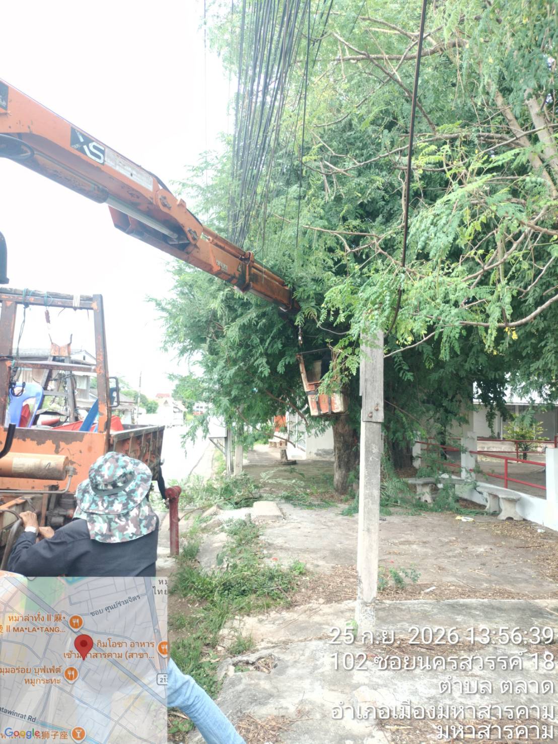 ภาพประกอบ: ตัดกิ่งไม้ระสายไฟฟ้าสาธารณะ