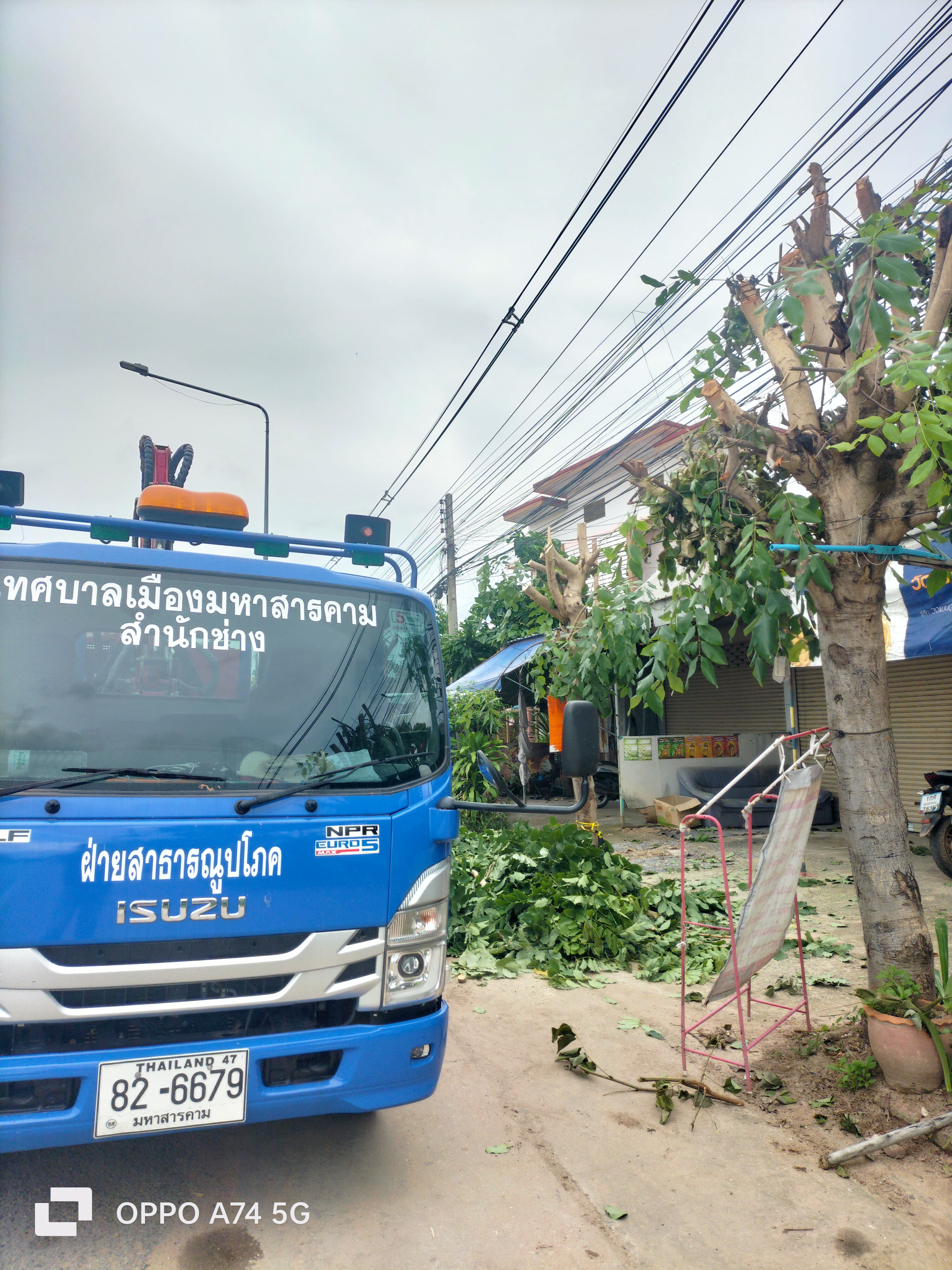 ภาพประกอบ: ตัดกิ่งไม้ระสายไฟฟ้าสาธารณะ