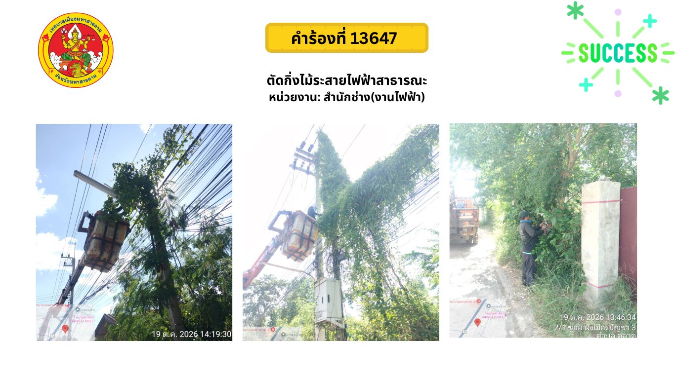 ภาพประกอบ: ตัดกิ่งไม้ระสายไฟฟ้าสาธารณะ