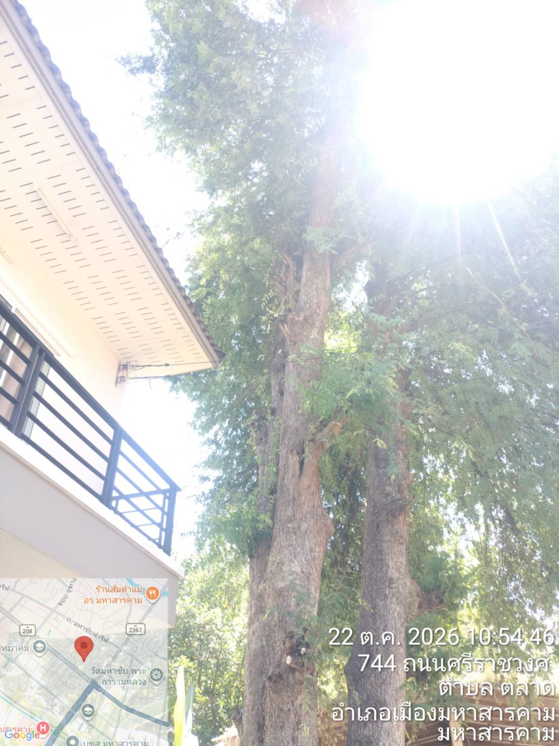 ภาพประกอบ: ตัดกิ่งไม้ระสายไฟฟ้าสาธารณะ