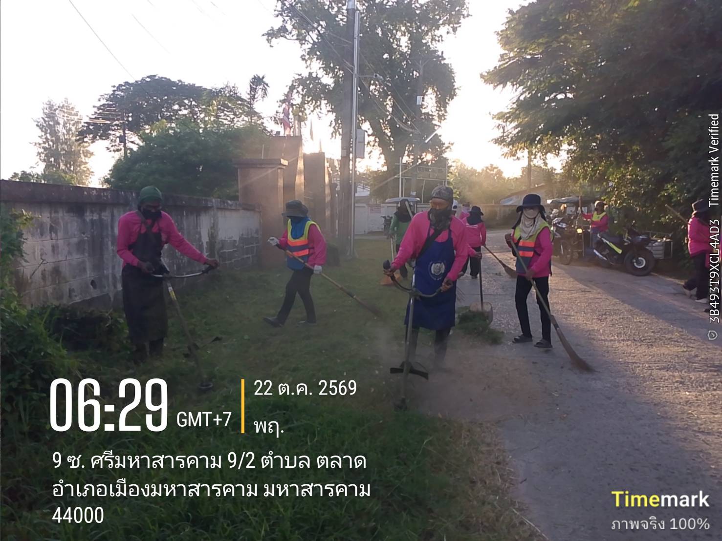 ภาพประกอบ: ตัดหญ้าในที่สาธารณะ
