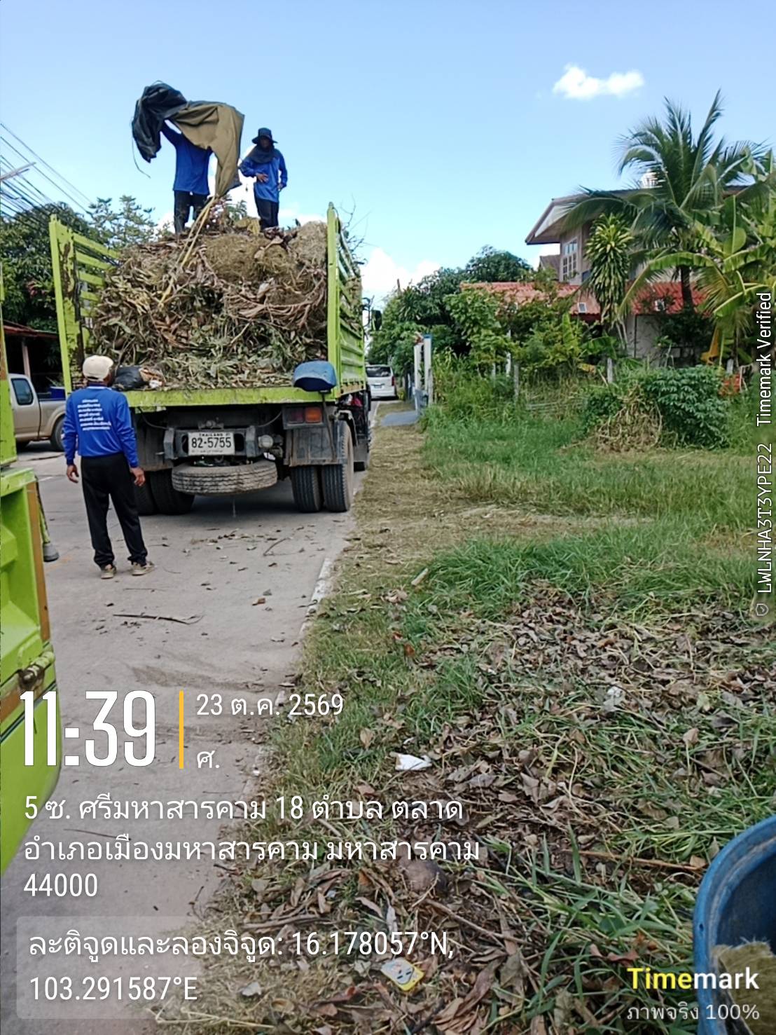 ภาพประกอบ: กิ่งไม้/ขยะชิ้นใหญ่ (ตู้ เตียง ที่นอน เป็นต้น)