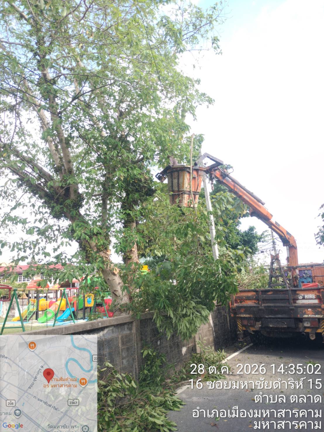 ภาพประกอบ: ตัดกิ่งไม้ระสายไฟฟ้าสาธารณะ
